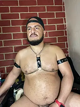 Chat XXX ao vivo de the_master_foal_