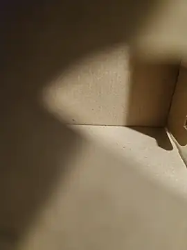 misterBigDick19n Webbikameraesitys