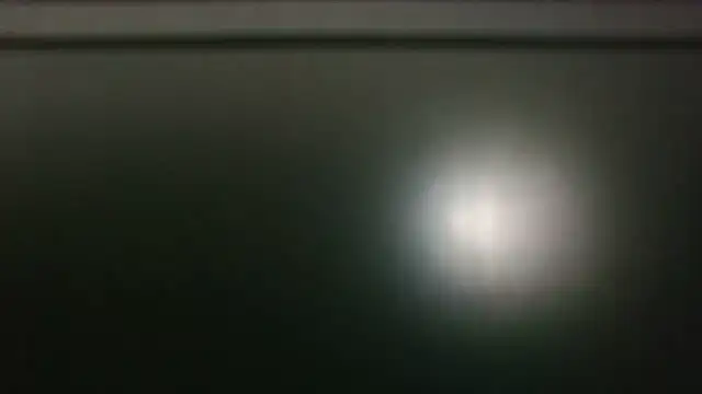 2-BLUNT-CUNTS' Live XXX Chat