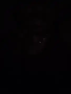 LookingForFemalePartner élő XXX-chatje