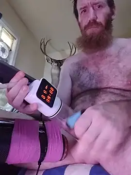 Pokazy przed kamerką – CaliBredMetalHeadDaddy