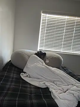Živý XXX chat ItsJystsex