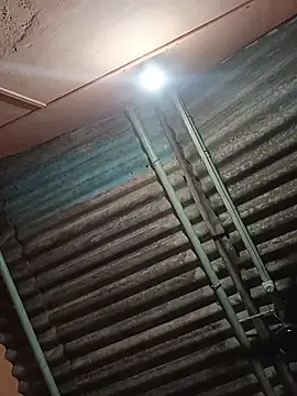 Princumbai_420 Obrolan Langsung XXX