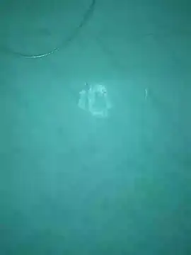 عرض كام _Scorpion_