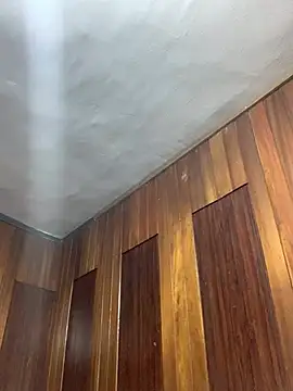 Dollar56 라이브 XXX 채팅