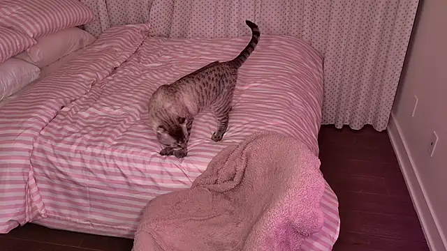 Živý XXX chat Verostar69