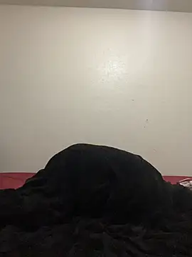 9blk লাইভ XXX চ্যাট
