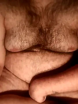 צ'אט XXX בשידור חי של big__bearrr