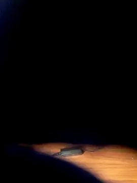 mistressaryfox's Live XXX Chat