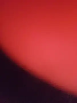 ni8sow Show in webcam