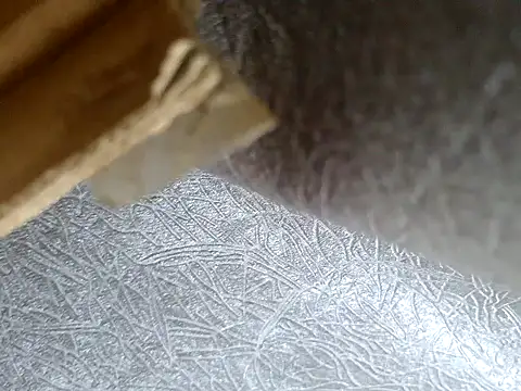 Živý XXX chat boobly_mit