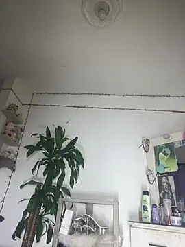 Živý XXX chat sweet_supreme
