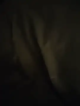 Derdicke19x5 webcam show