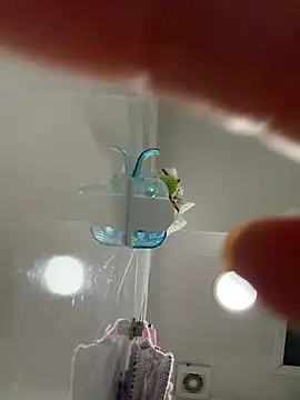 Cherryxx 라이브 XXX 채팅