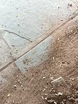 sudip999999n Webbikameraesitys