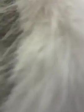 Živý XXX chat VendiMur
