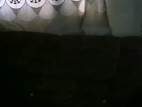 Ebonybb Live XXX-Chat