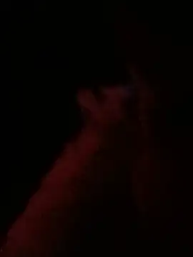 הופעת וובקאם של ySqmbVanbe