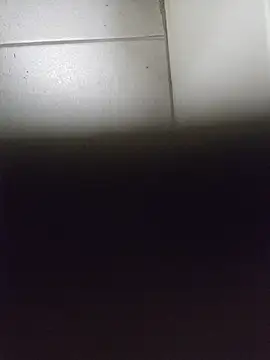 Webkamerová show misterBigDick19