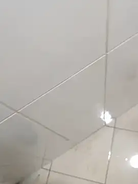 Chat +18 de Stallionbull38 ao vivo