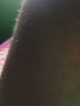 Raj41's Live XXX Chat