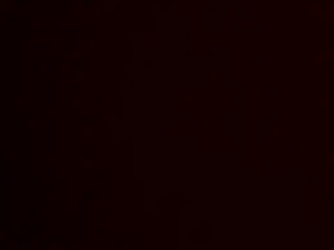 TwinityX's Live XXX Chat