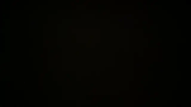 RIENASIGNALER 现场XXX聊天