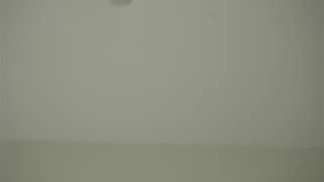 LightStellaStar Live XXX-Chat