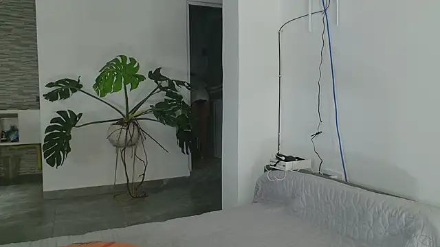 grey___27 即時 XXX 聊天