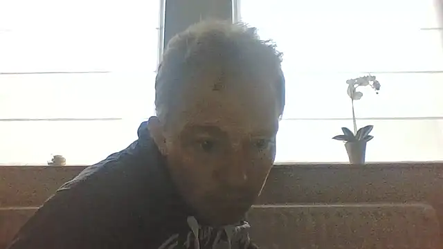 Chat XXX ao vivo de bertolini