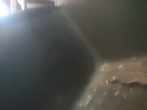 WadedGuzzling Webcam show