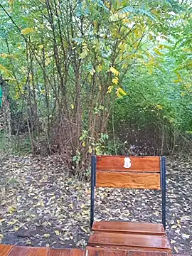 Živý XXX chat Buns2026
