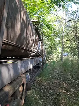 Онлайн чат XXX Petrossa