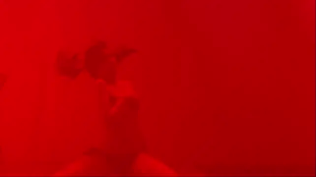 Velvet--girl Live XXX-Chat