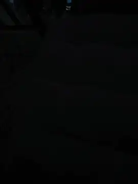 Вебкам-шоу misterBigDick19
