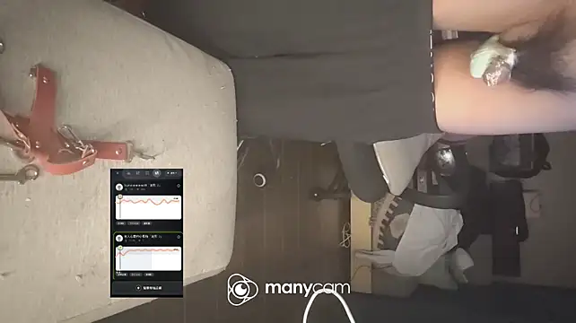 Remotecontrolsm 网络视讯表演