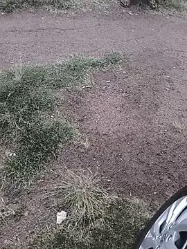 Chat XXX Live Homeless_hunter