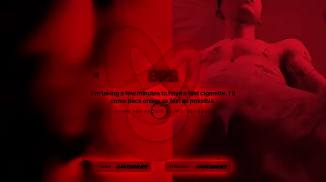 davesinner Webcam show