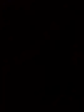 BigDickNaaier Webcamshow