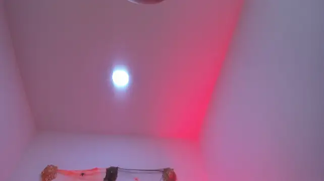 thekingcockboy 라이브 XXX 채팅