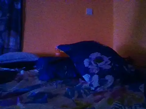 Pink_pussy_-'s Live XXX Chat