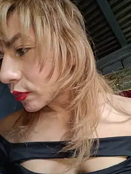 Evehamp Webcam-Show
