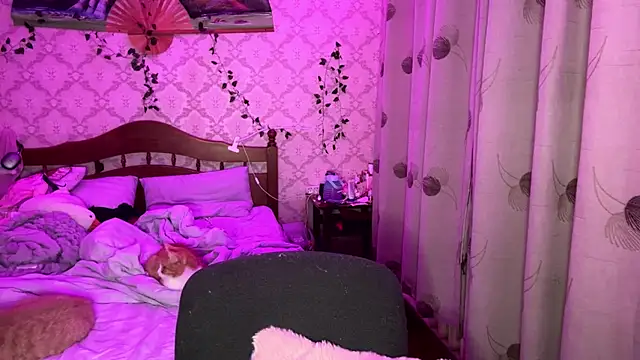 FelvivalKitty Live XXX-Chat