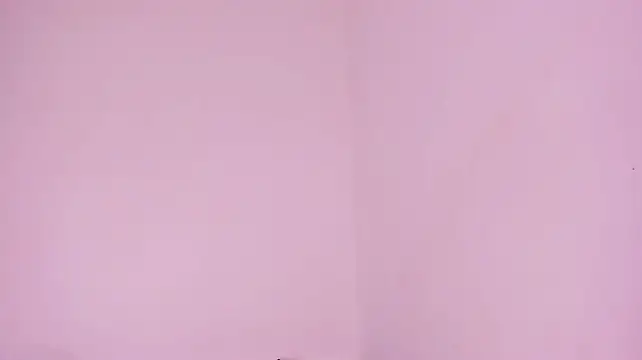 Axel_grey_ élő XXX-chatje