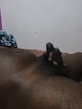 horsepawar 现场XXX聊天