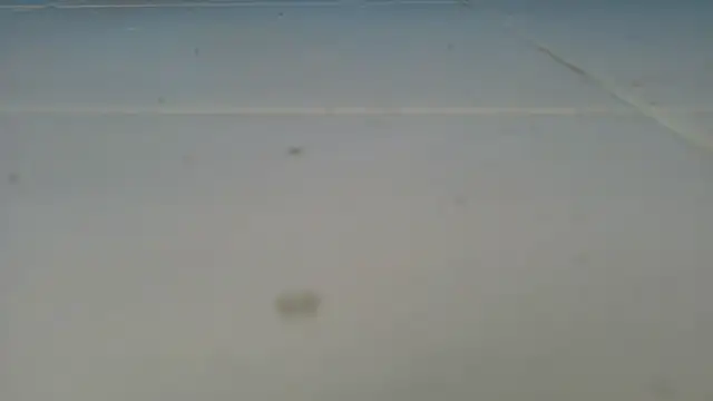 bully_boss Live XXX-chat