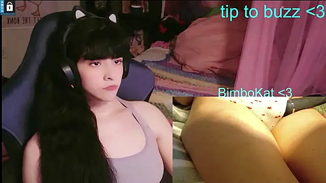Show webcam de BimboCat