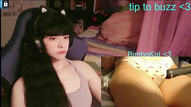 BimboCat webkamerás műsora