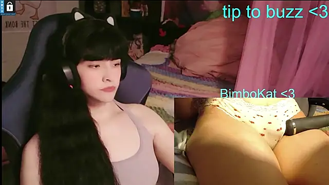 BimboCat: διαδικτυακό σόου στην κάμερα