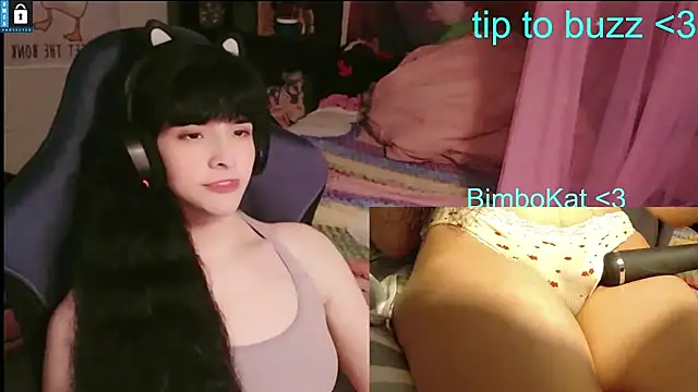 Show Webcam de BimboCat